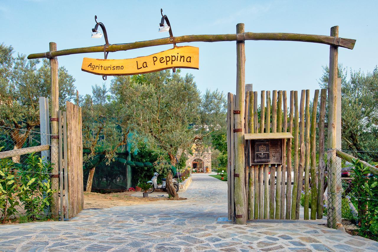 Agriturismo La Peppina Massa Lubrense Zewnętrze zdjęcie